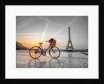 Bicycle and Eiffel tower by Assaf Frank